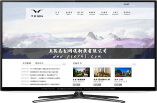 上海品劃網(wǎng)絡(luò) 專業(yè)松江網(wǎng)站建設(shè)與移動(dòng)應(yīng)用服務(wù)