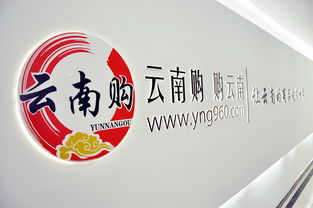 云南購，購云南 奧遠(yuǎn)科技助力云南商品與品牌走向世界